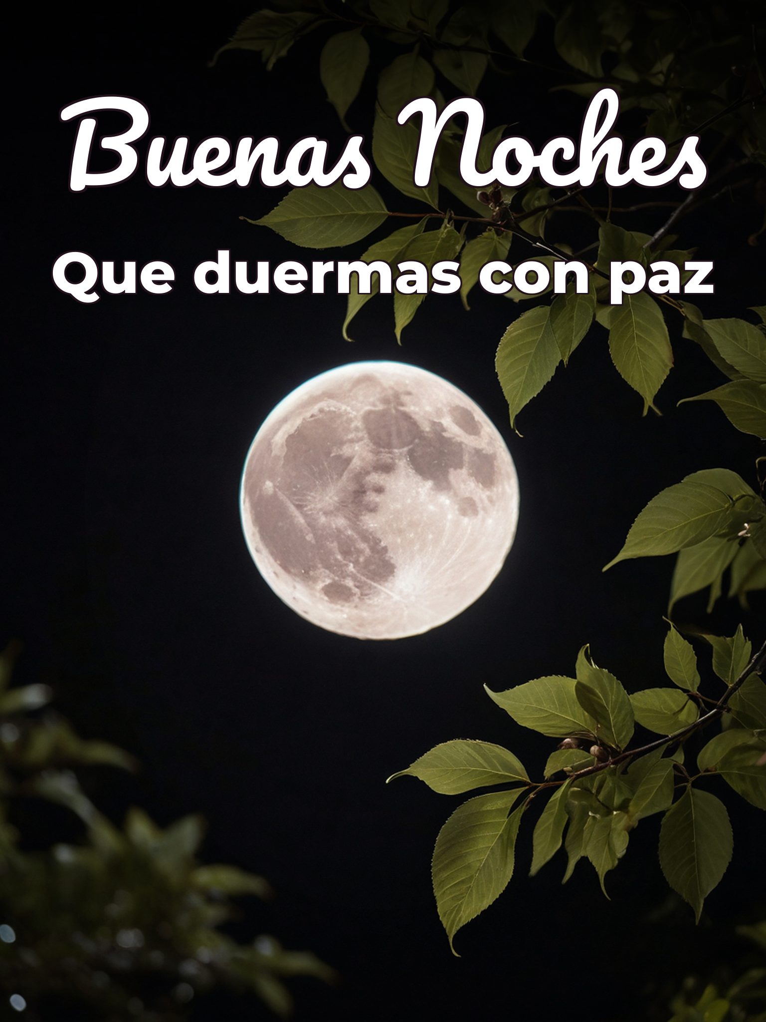 Imágenes de hasta mañana buenas noches para WhatsApp