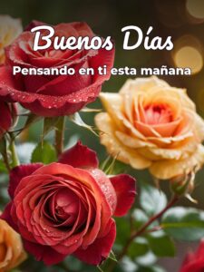 Imágenes de hola buenos días mi amor para una amiga
