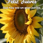 feliz jueves que hoy sea un gran jueves