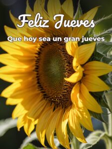 Imágenes de hoy es jueves para Facebook