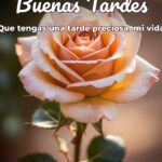 buenas tardes que tengas una tarde preciosa, mi vida