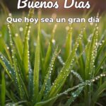 buenos días que hoy sea un gran día
