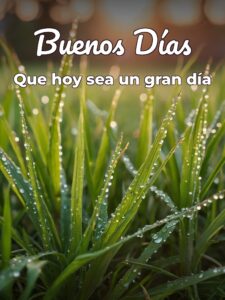 Imágenes de los buenos días con frases para descargar