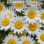 buenos días que tengas un día maravilloso