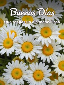 Imágenes de los buenos días para Facebook
