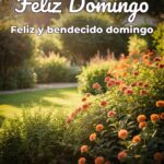 feliz domingo feliz y bendecido domingo