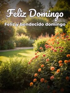 Imágenes de los domingos para celular