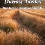 buenas tardes una tarde llena de paz para ti