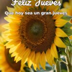 feliz jueves que hoy sea un gran jueves