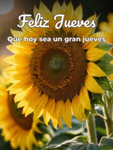 Imágenes de ya es jueves para Facebook