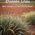 buenos días que tengas un día maravilloso
