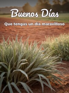 Imágenes debuenos días para celular