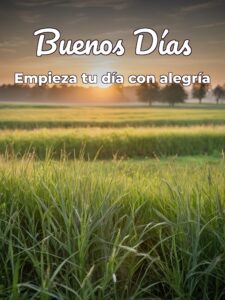 Imágenes debuenos días para Facebook