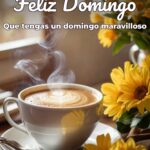 feliz domingo que tengas un domingo maravilloso