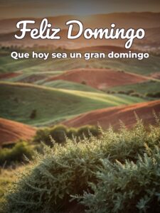 Imágenes del día domingo para WhatsApp