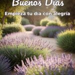 buenos días empieza tu día con alegría