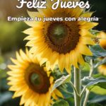 feliz jueves empieza tu jueves con alegría