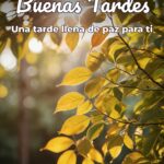 buenas tardes una tarde llena de paz para ti