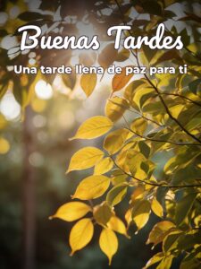 Imágenes divertidas de buenas tardes para WhatsApp celular