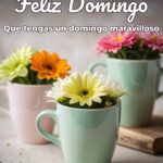 feliz domingo que tengas un domingo maravilloso