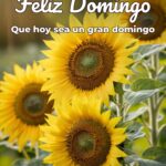 feliz domingo que hoy sea un gran domingo