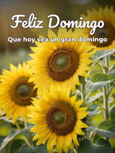 Imágenes domingo feliz para celular