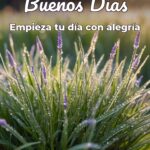 buenos días empieza tu día con alegría
