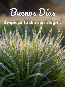 Imágenes especiales de buenos días para celular