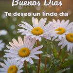 buenos días te deseo un lindo día