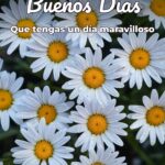 buenos días que tengas un día maravilloso