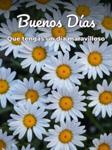 Imágenes fe buenos días para una amiga