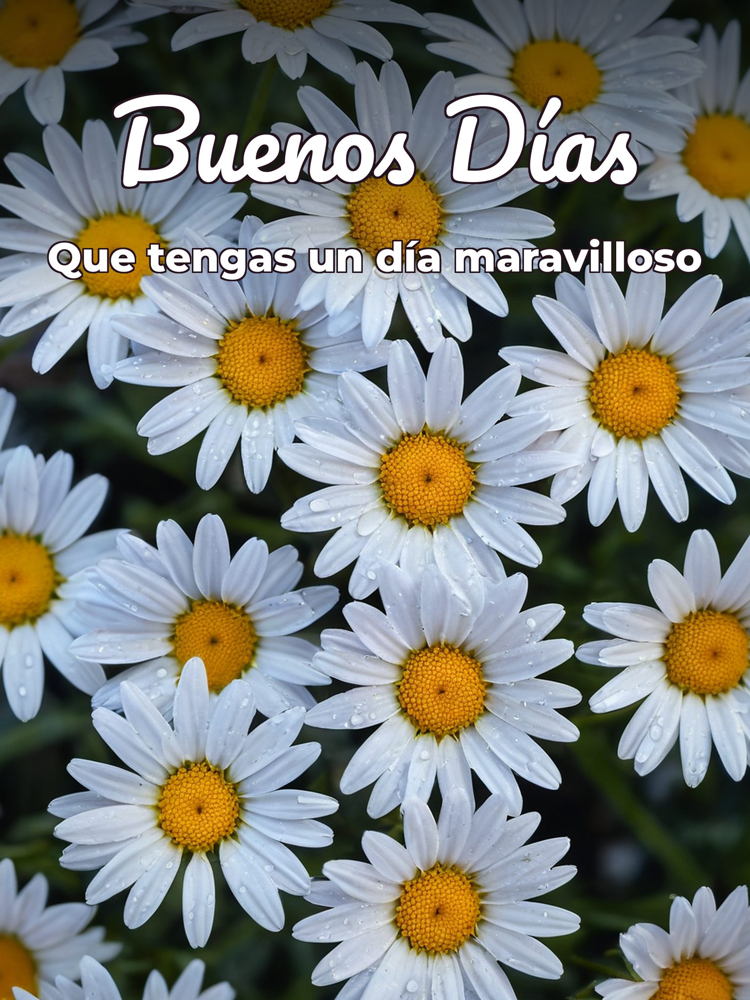 Imágenes fe buenos días para una amiga