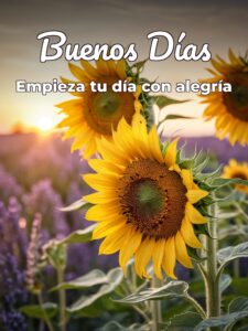 Imágenes fe buenos días para WhatsApp