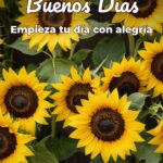 buenos días empieza tu día con alegría