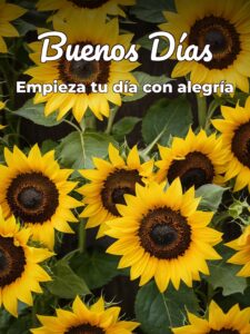 Imágenes felices de buenos días