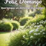 feliz domingo que tengas un domingo maravilloso