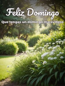 Imágenes feliz domingo con flores para celular