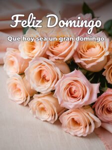 Imágenes feliz domingo mi amor para WhatsApp