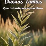 buenas tardes que tu tarde sea maravillosa
