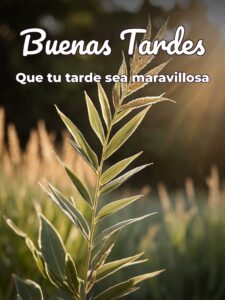 Imágenes graciosas de buenas tardes para WhatsApp celular