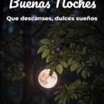 buenas noches que descanses, dulces sueños