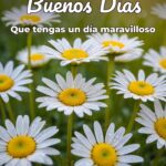 buenos días que tengas un día maravilloso