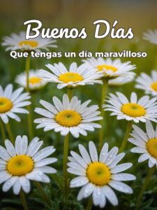 Imágenes hermosas buenos días para Facebook