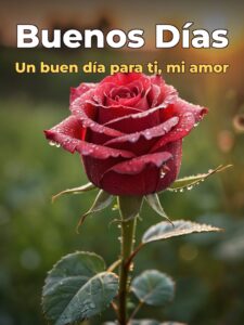 Imágenes hermosas de buenos días mi amor para celular
