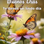 buenos días te deseo un lindo día