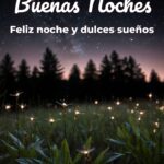 buenas noches feliz noche y dulces sueños