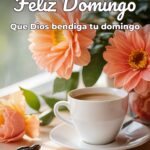 feliz domingo que dios bendiga tu domingo
