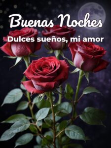 Imágenes lindas de buenas noches amor para celular