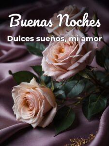 Imágenes lindas de buenas noches amor para Facebook