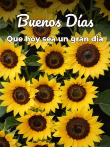 Imágenes lindas de buenos dias
